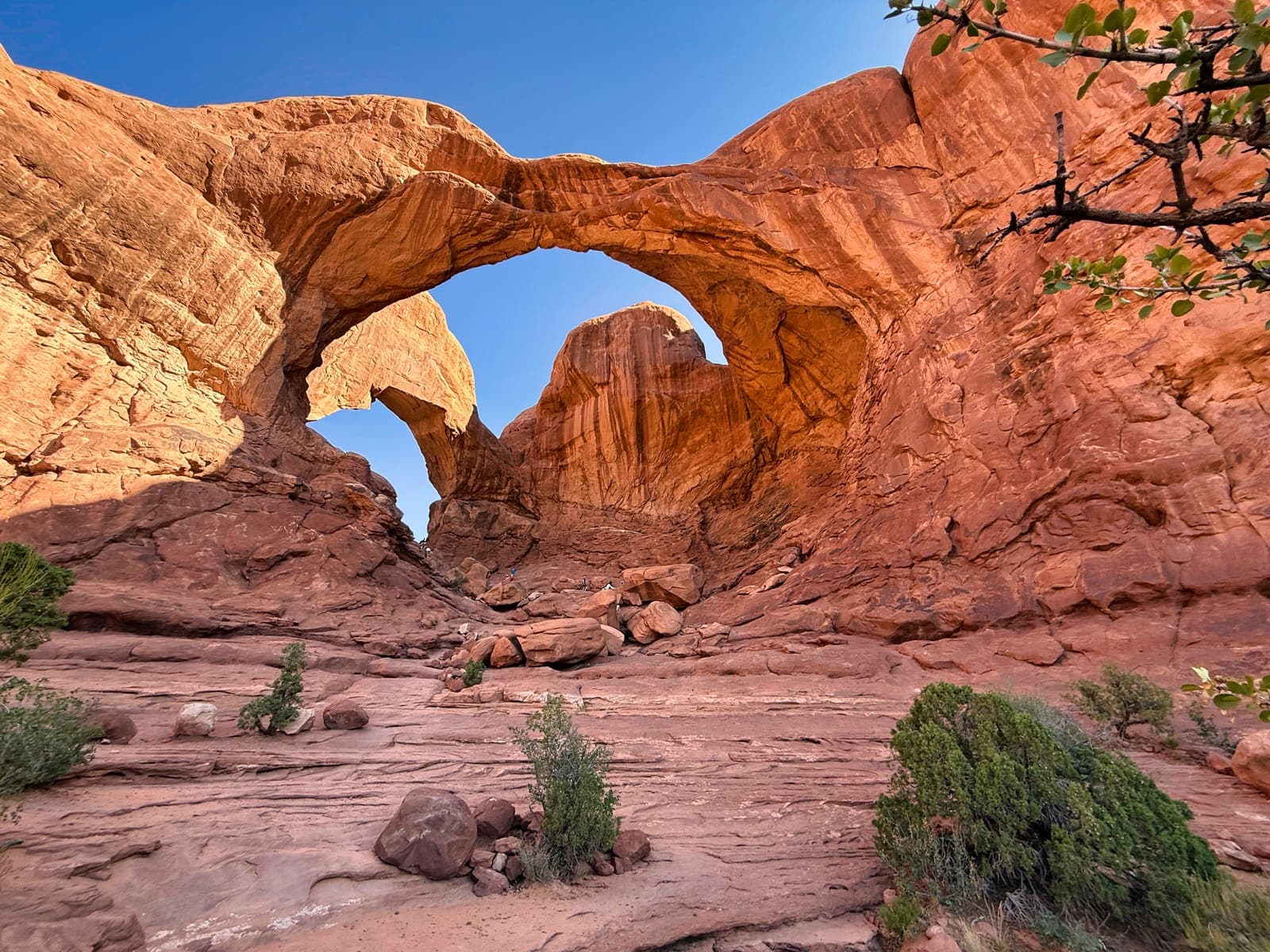 Arches architecture