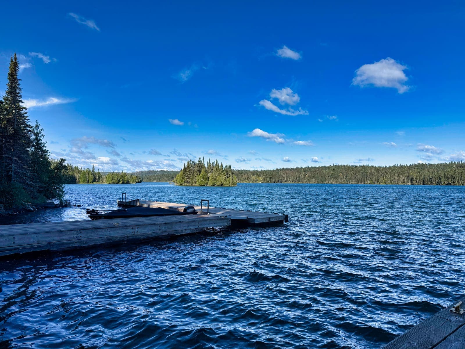 A wooden dock reaching toward a small island of spruce in the harbor