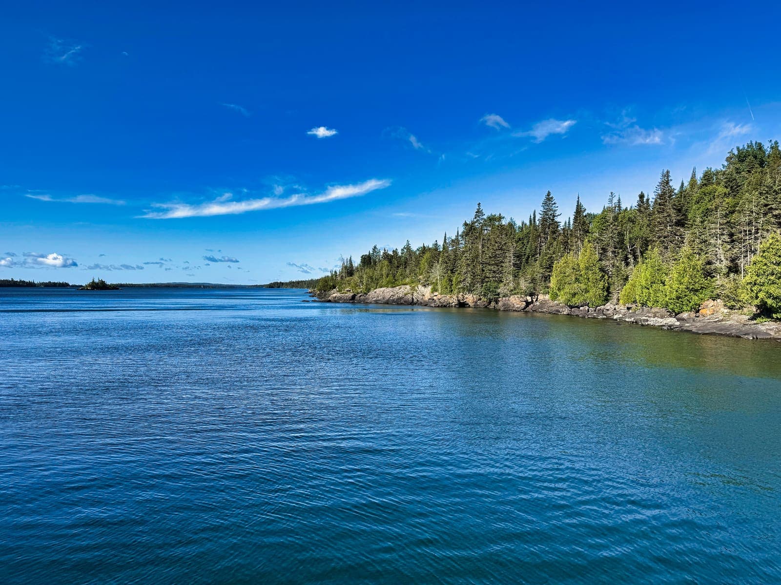 A calm, clear shoreline of rock and spruce on Isle Royale
