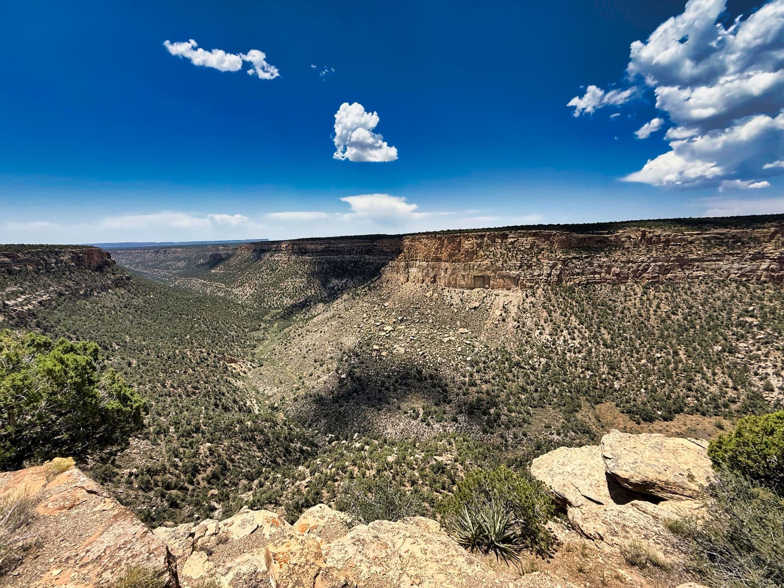 Cliff Palace at Mesa Verde