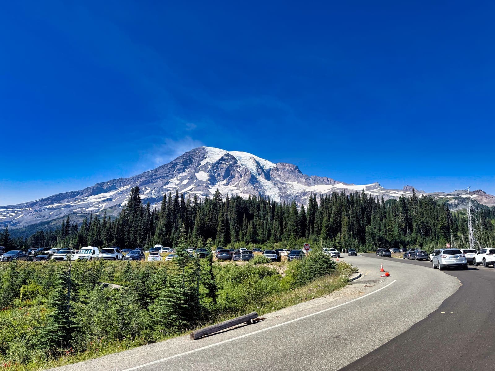 Mount Rainier landscape