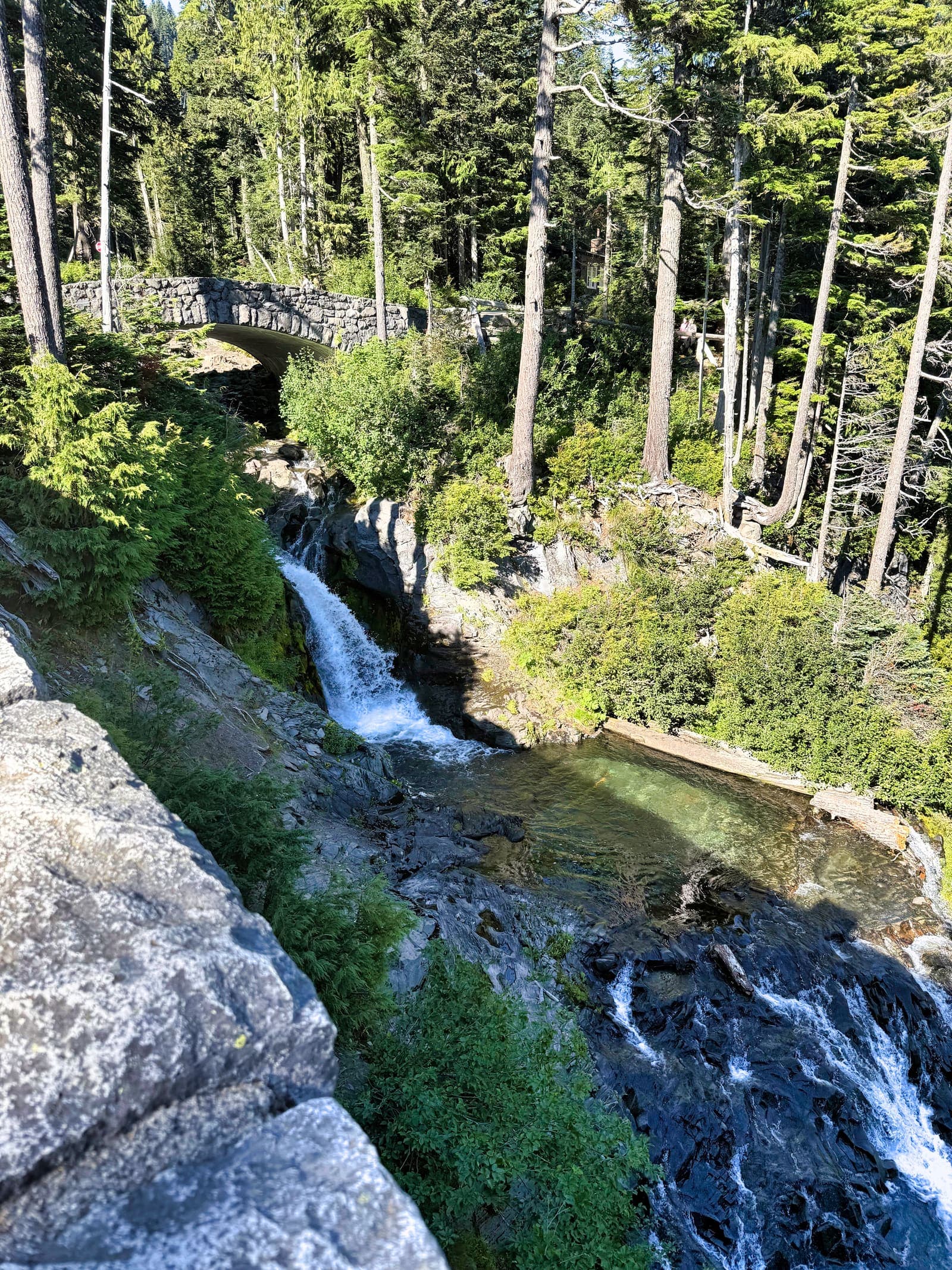 Mount Rainier ecosystem