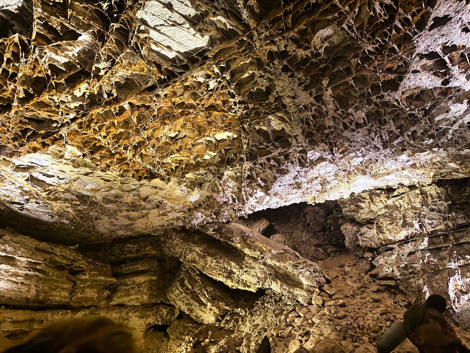 Wind Cave National Park