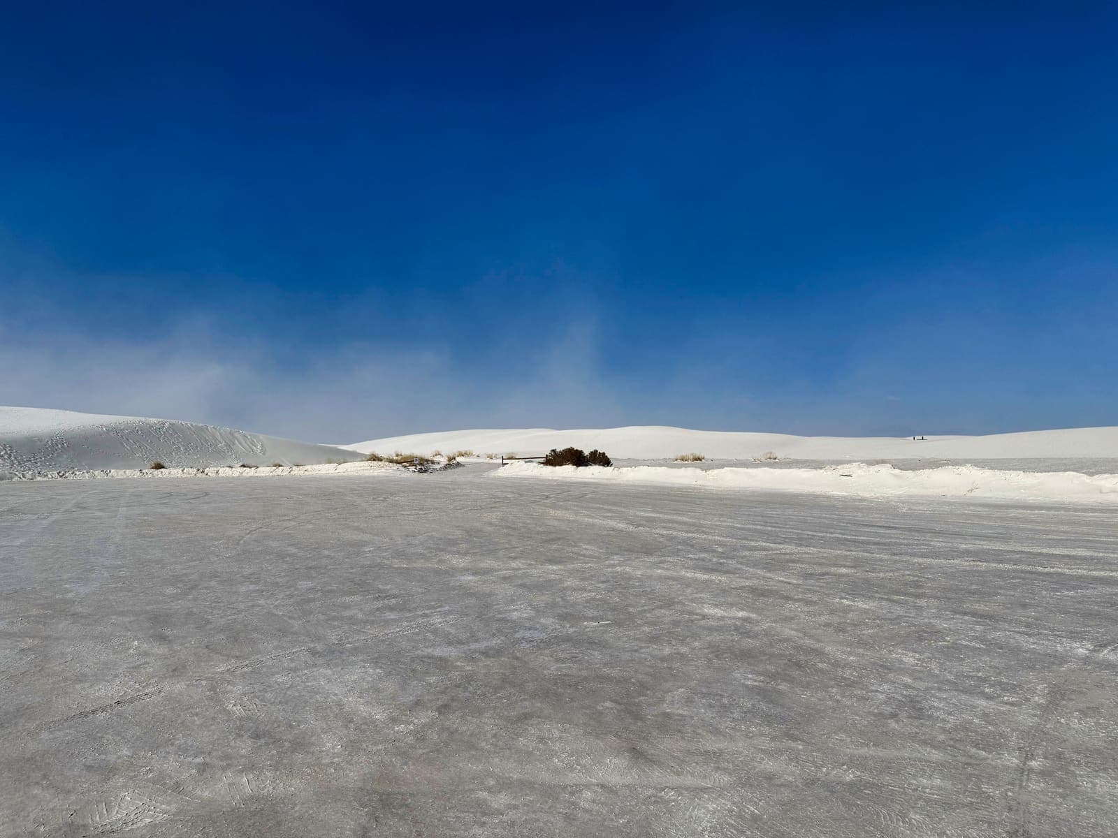White Sands footprints