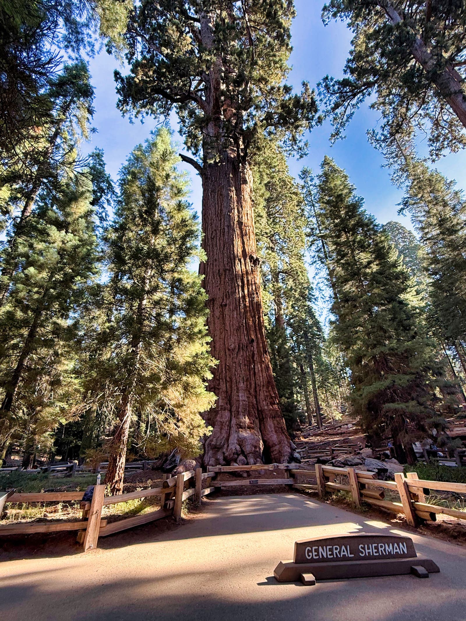 Sequoia National Park
