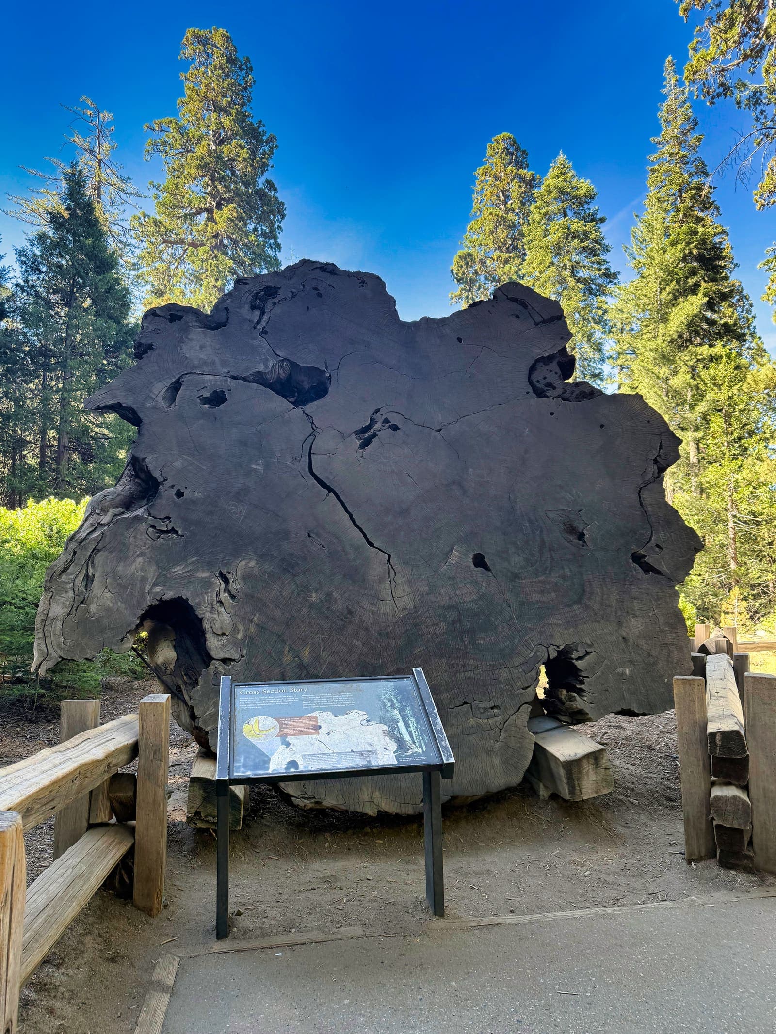 Sequoia National Park