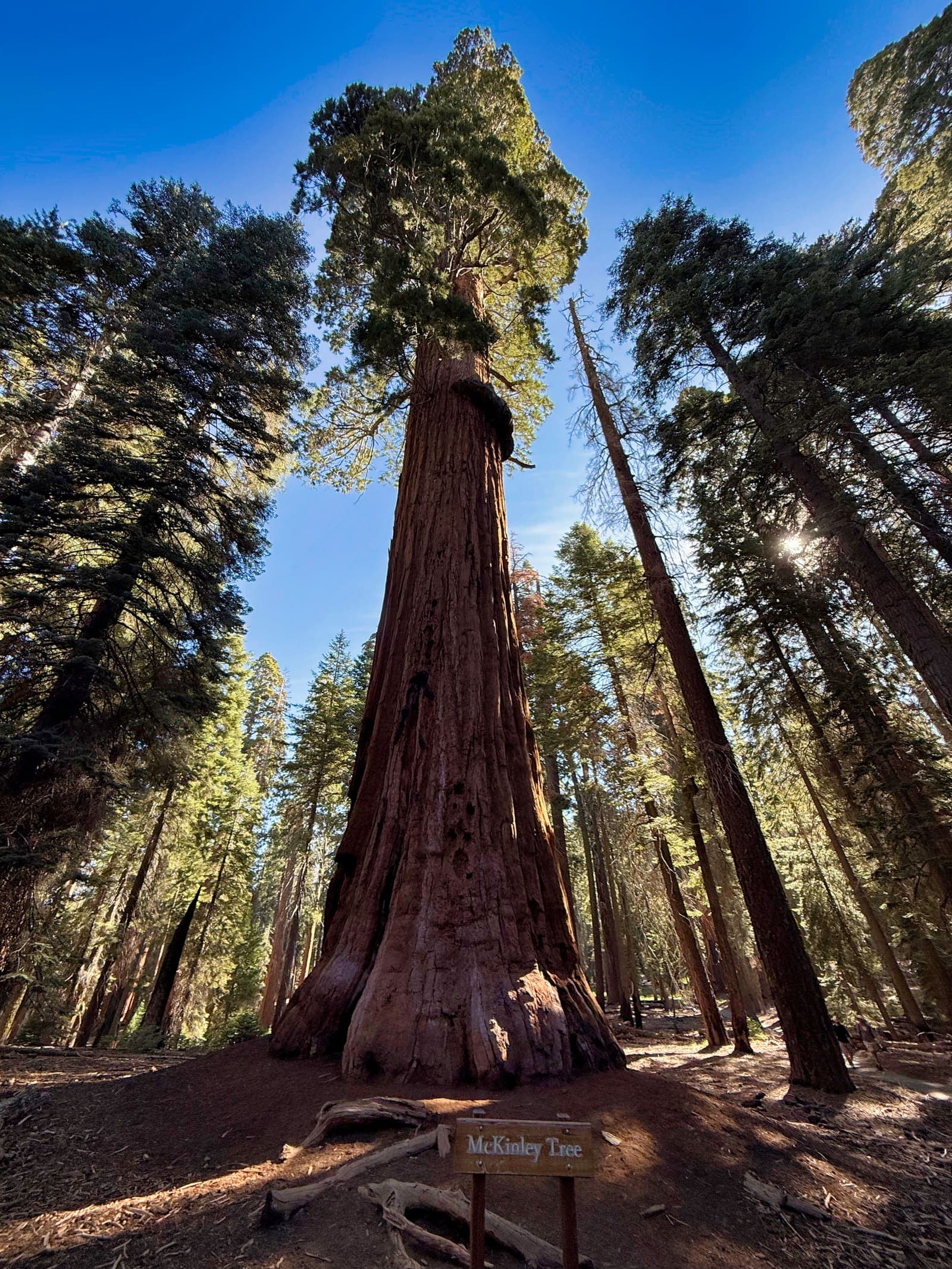 Sequoia National Park