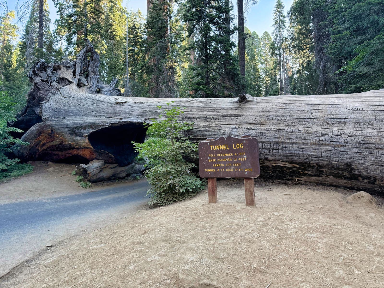 Sequoia National Park