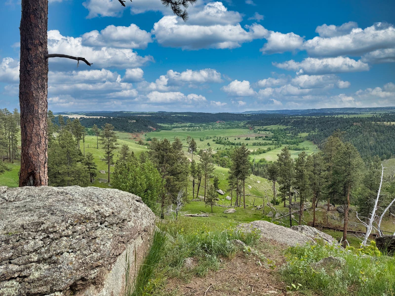 Devils Tower prairie