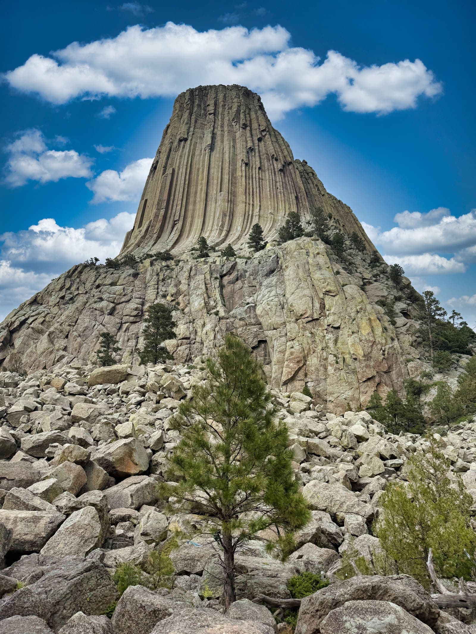 Devils Tower vertical lines