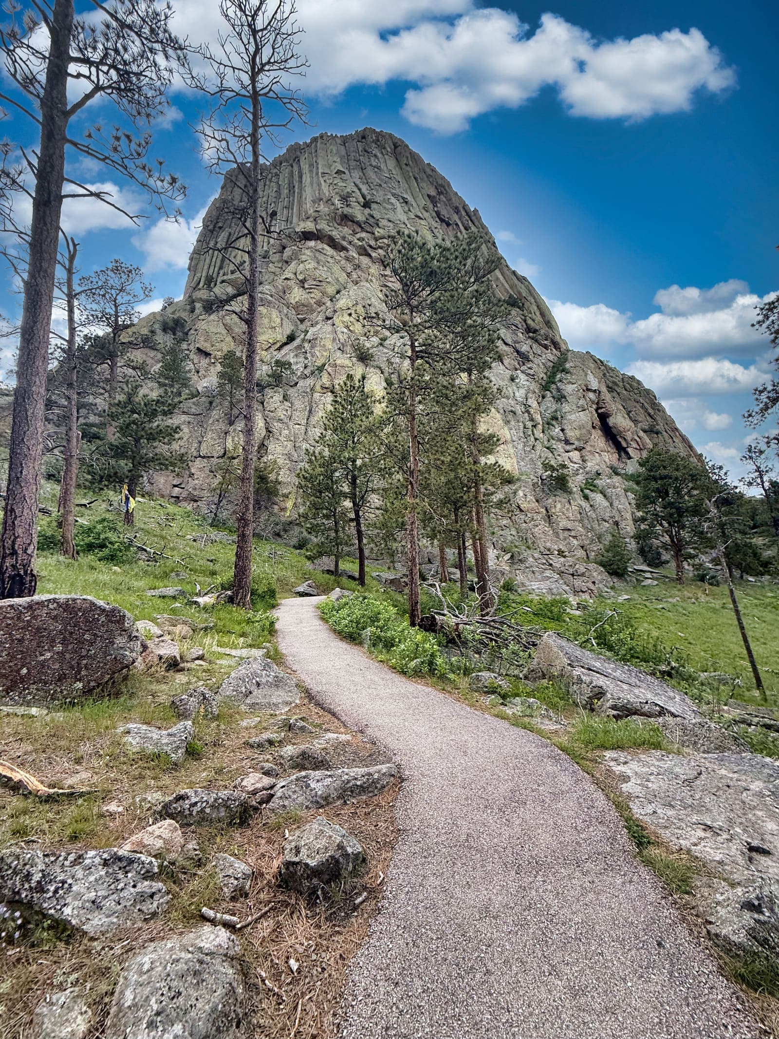 Devils Tower base