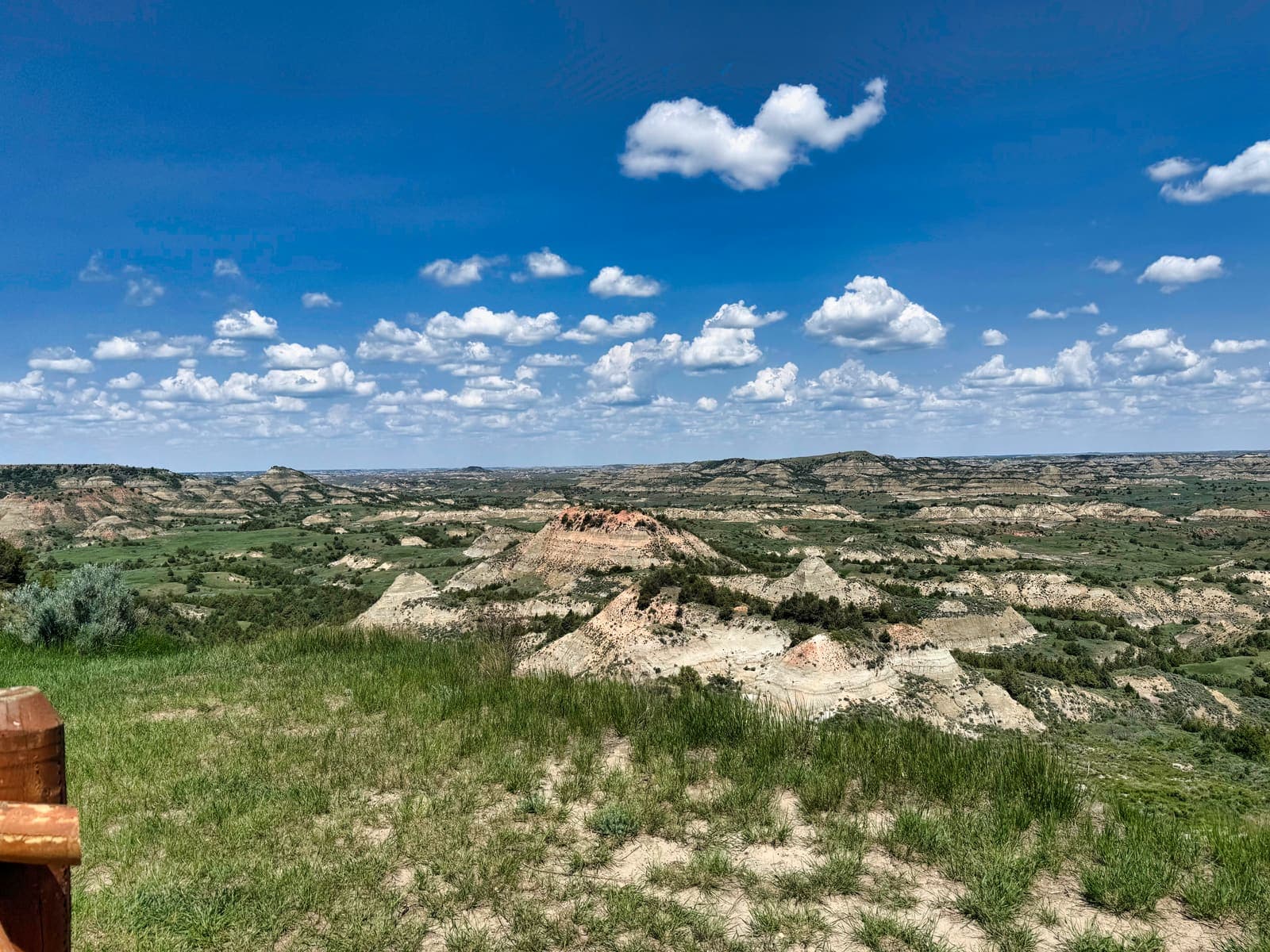 Theodore Roosevelt National Park