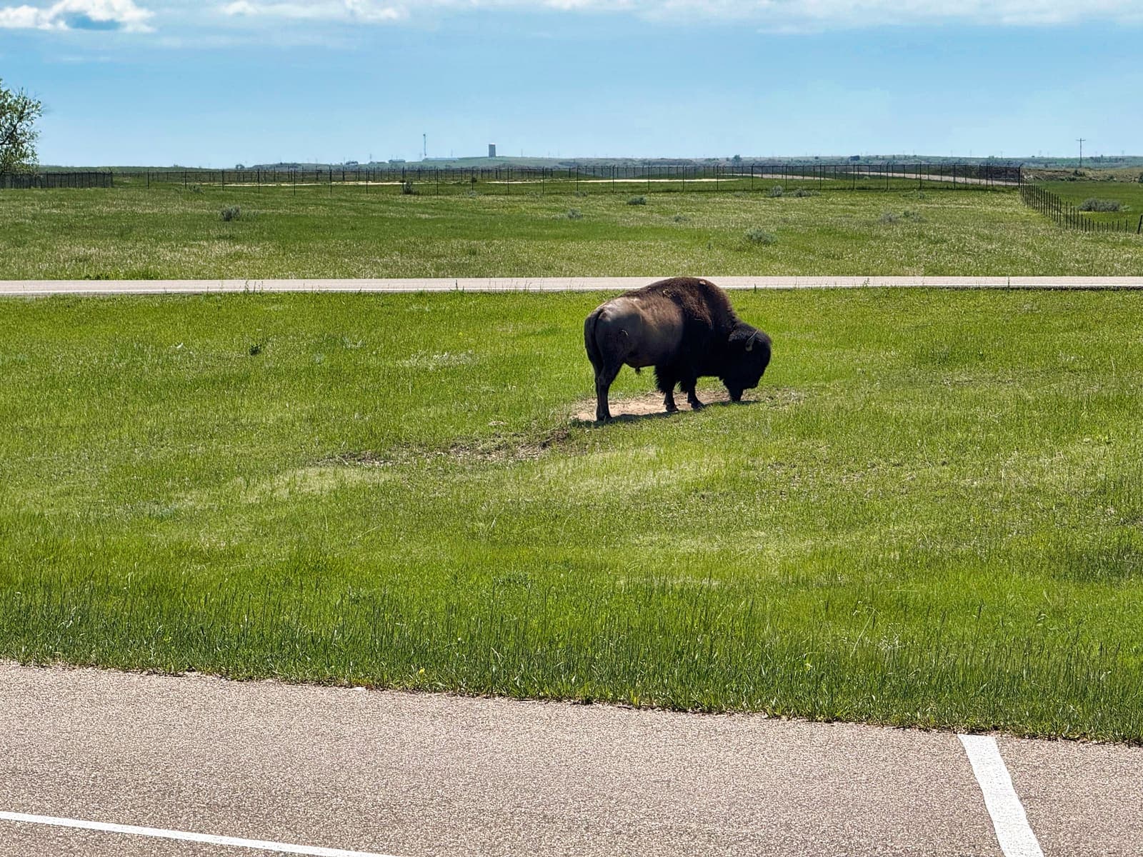 Theodore Roosevelt National Park