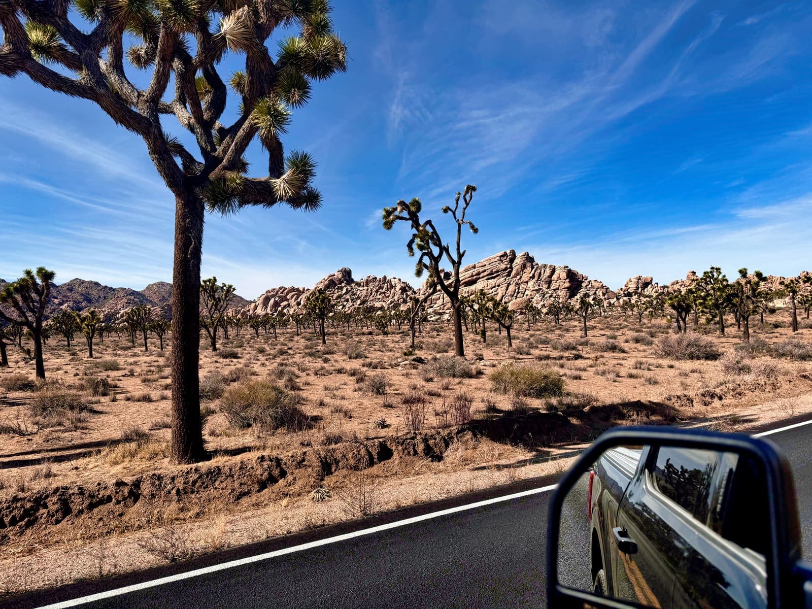 Joshua Tree National Park