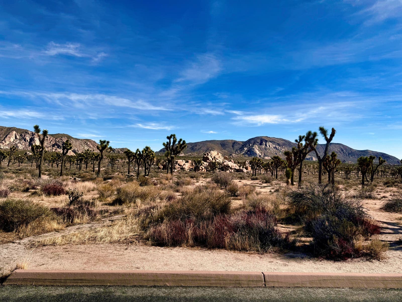 Joshua Tree National Park