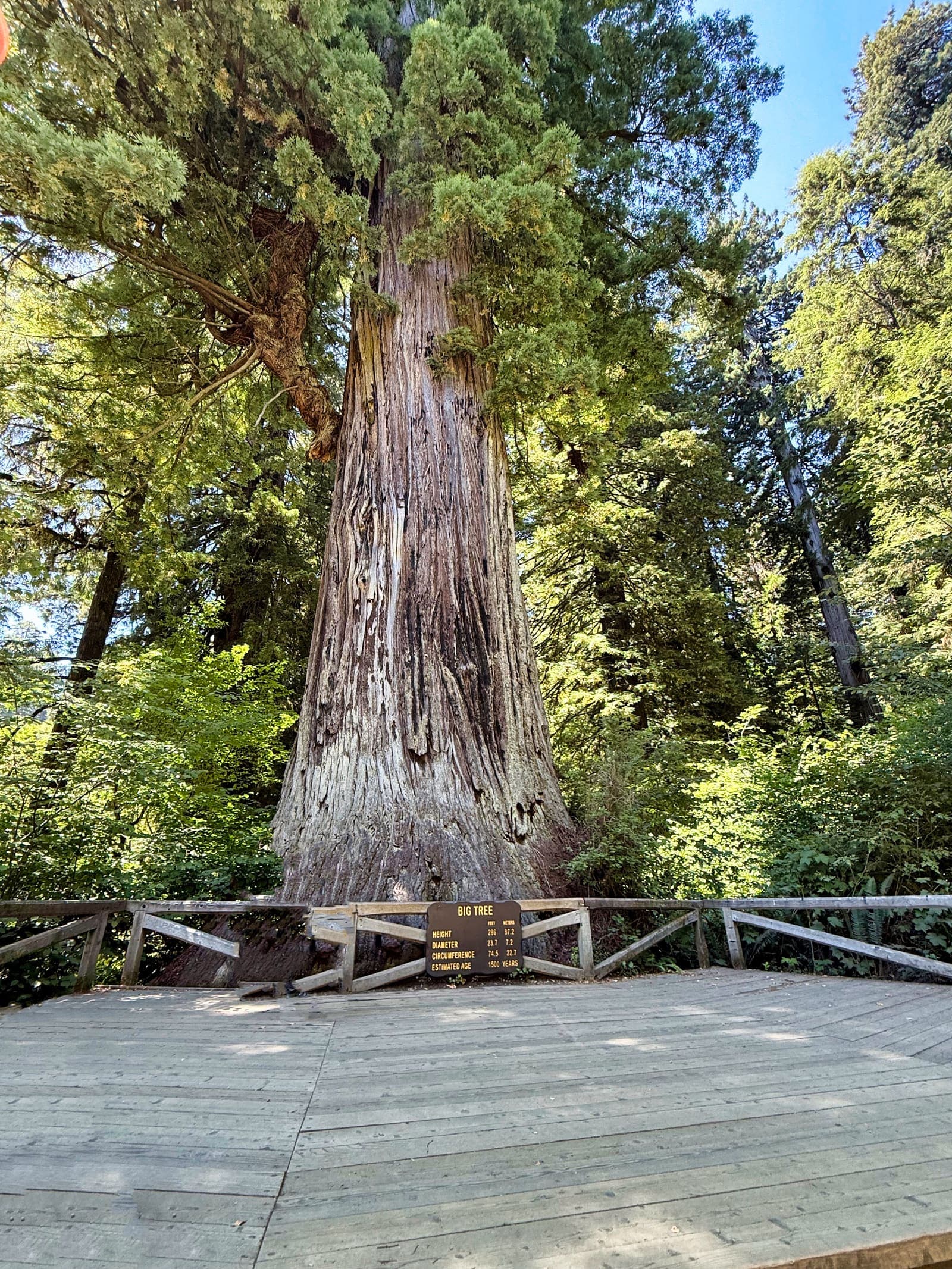 Redwood National Park