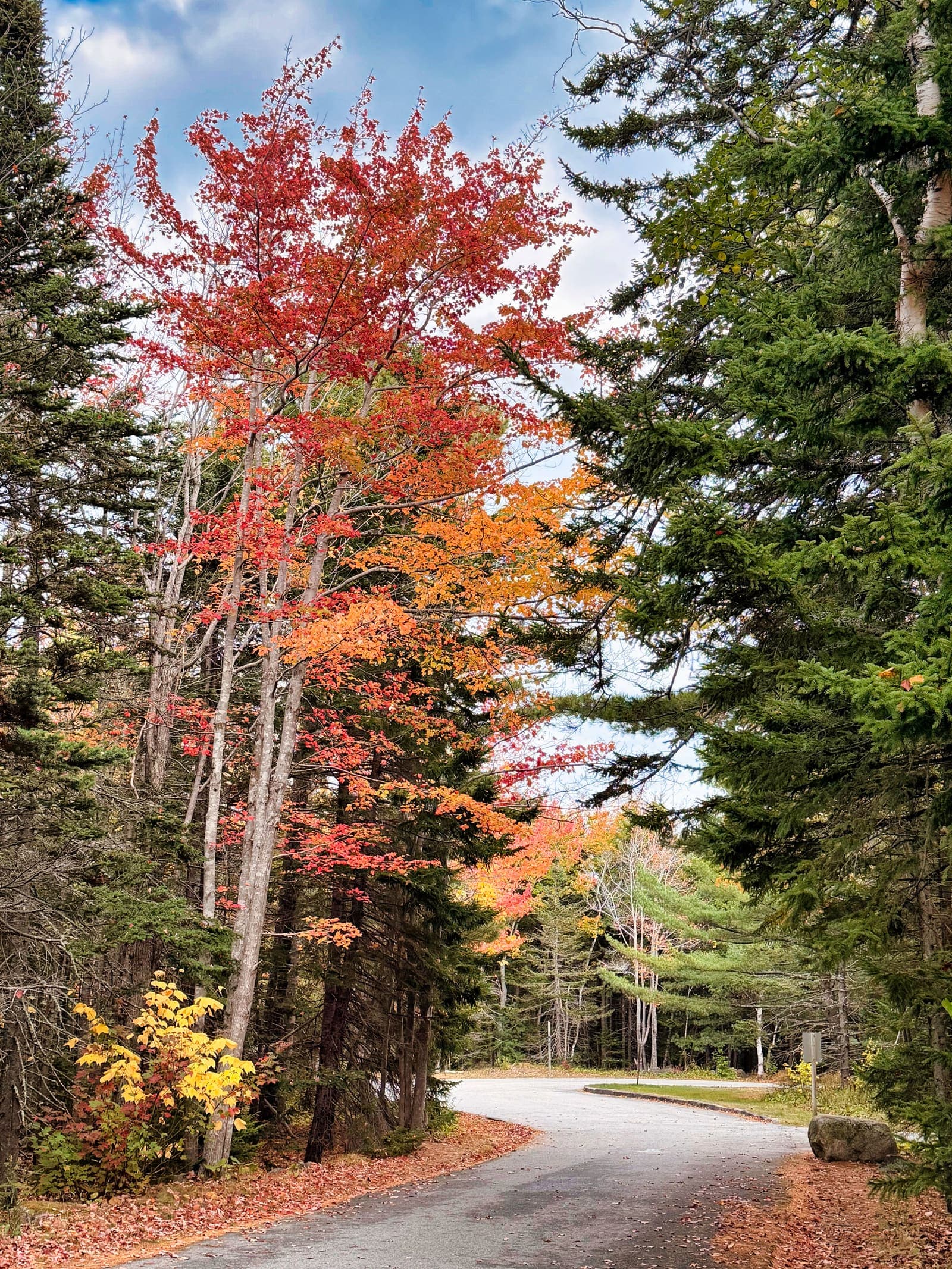 Acadia National Park