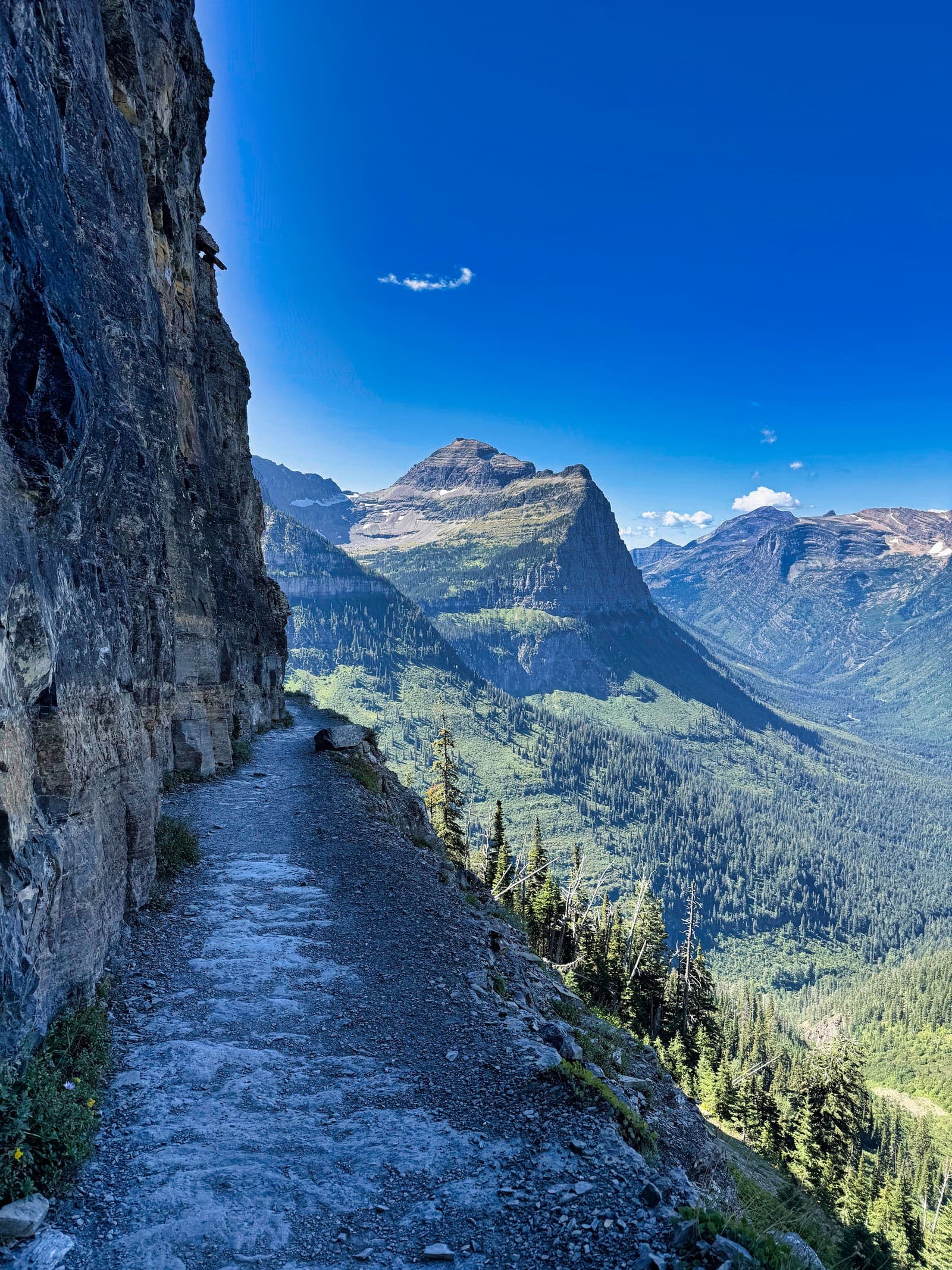 Glacier valley vista