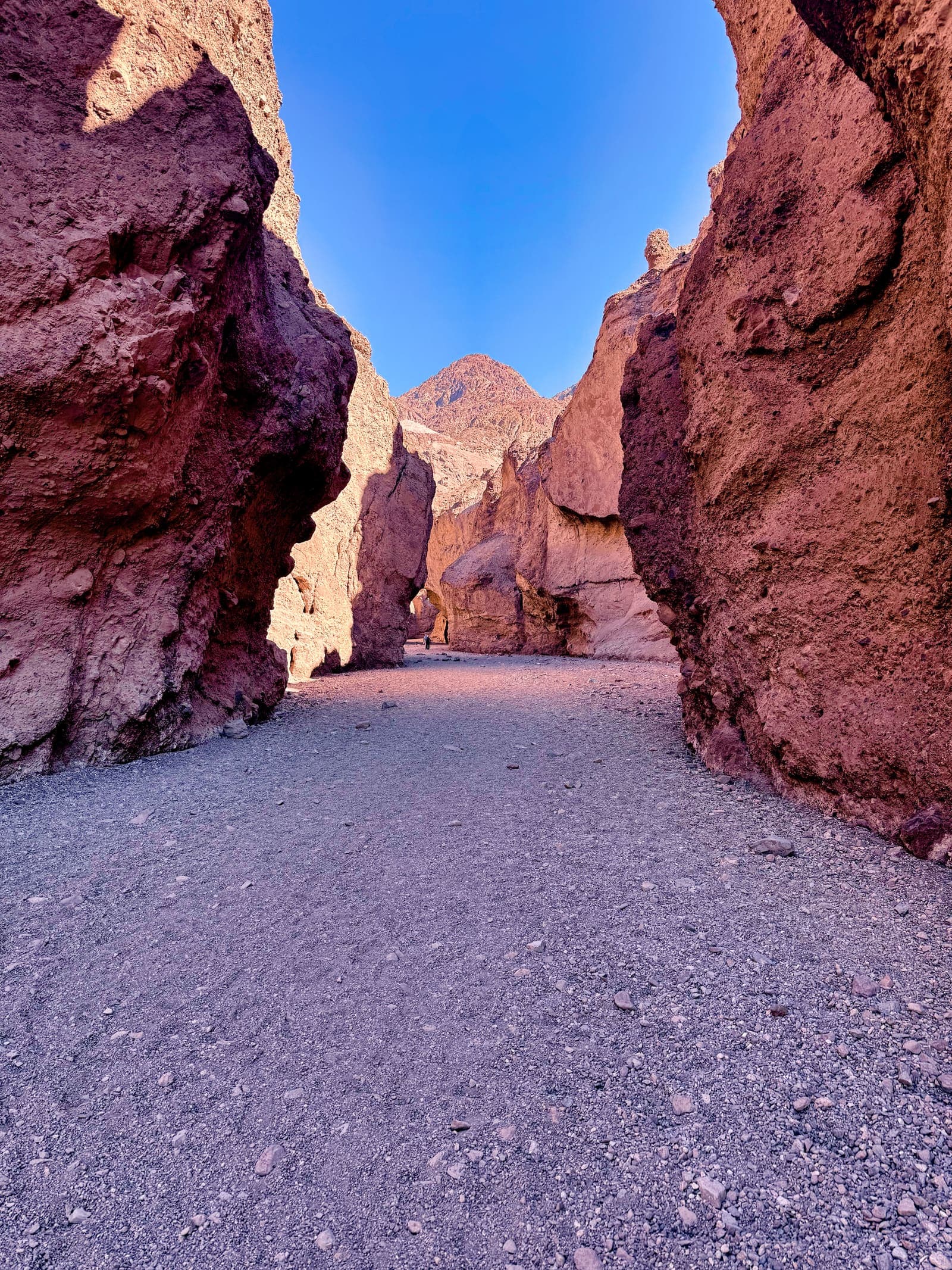 Death Valley reflection