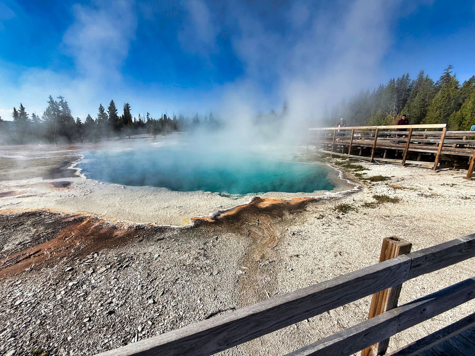 Yellowstone steam vents