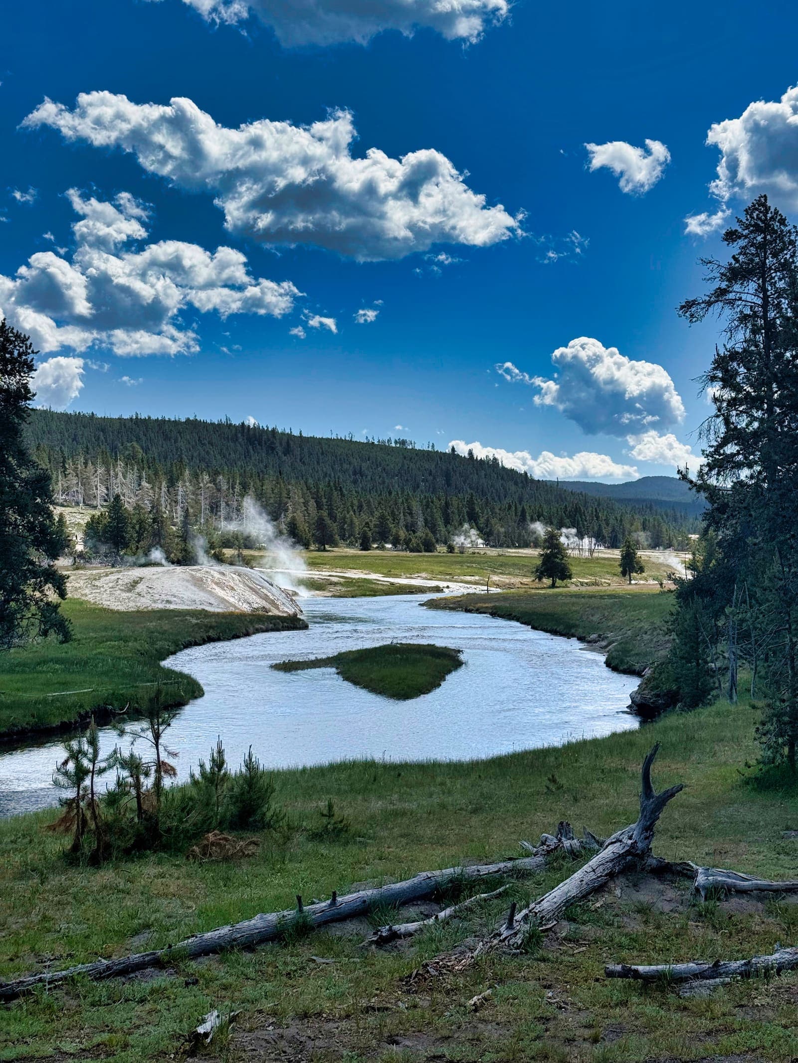 Yellowstone landscape