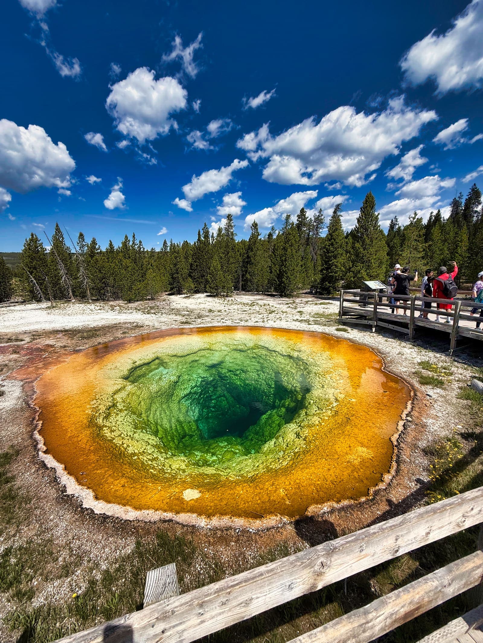 Yellowstone thermal feature