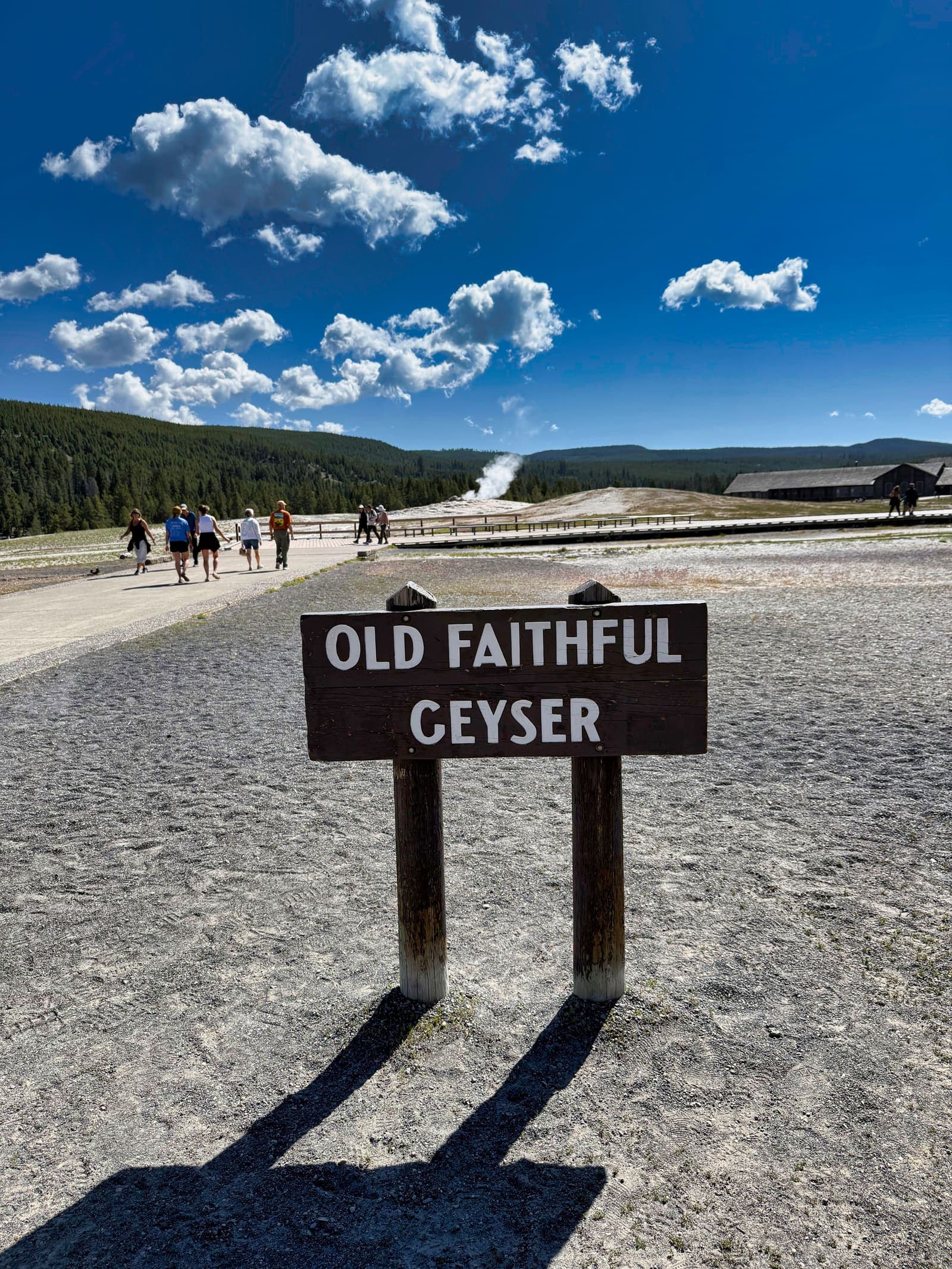 Yellowstone vista
