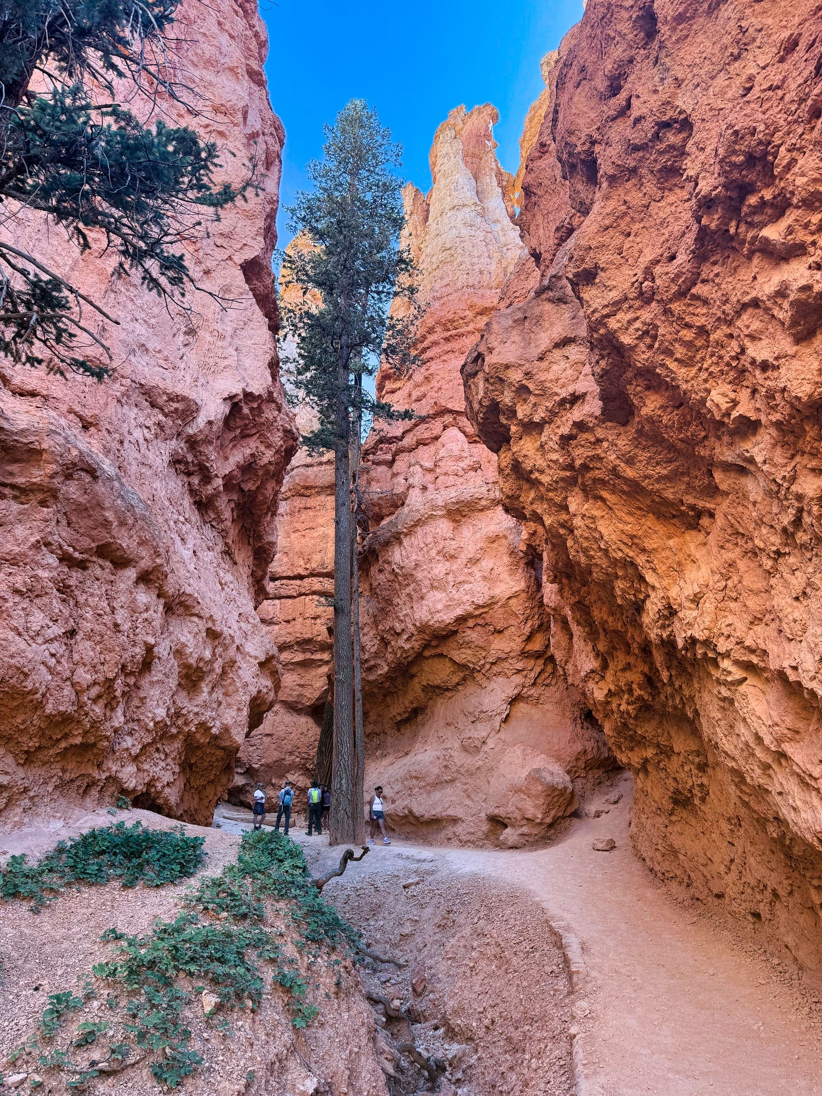 Bryce Canyon National Park