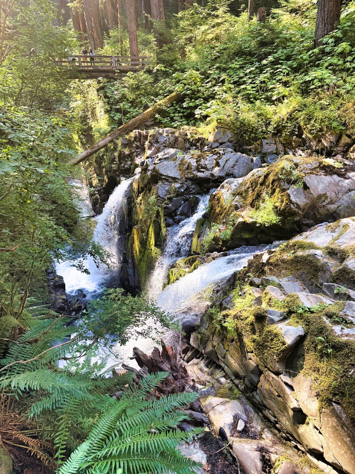Olympic National Park