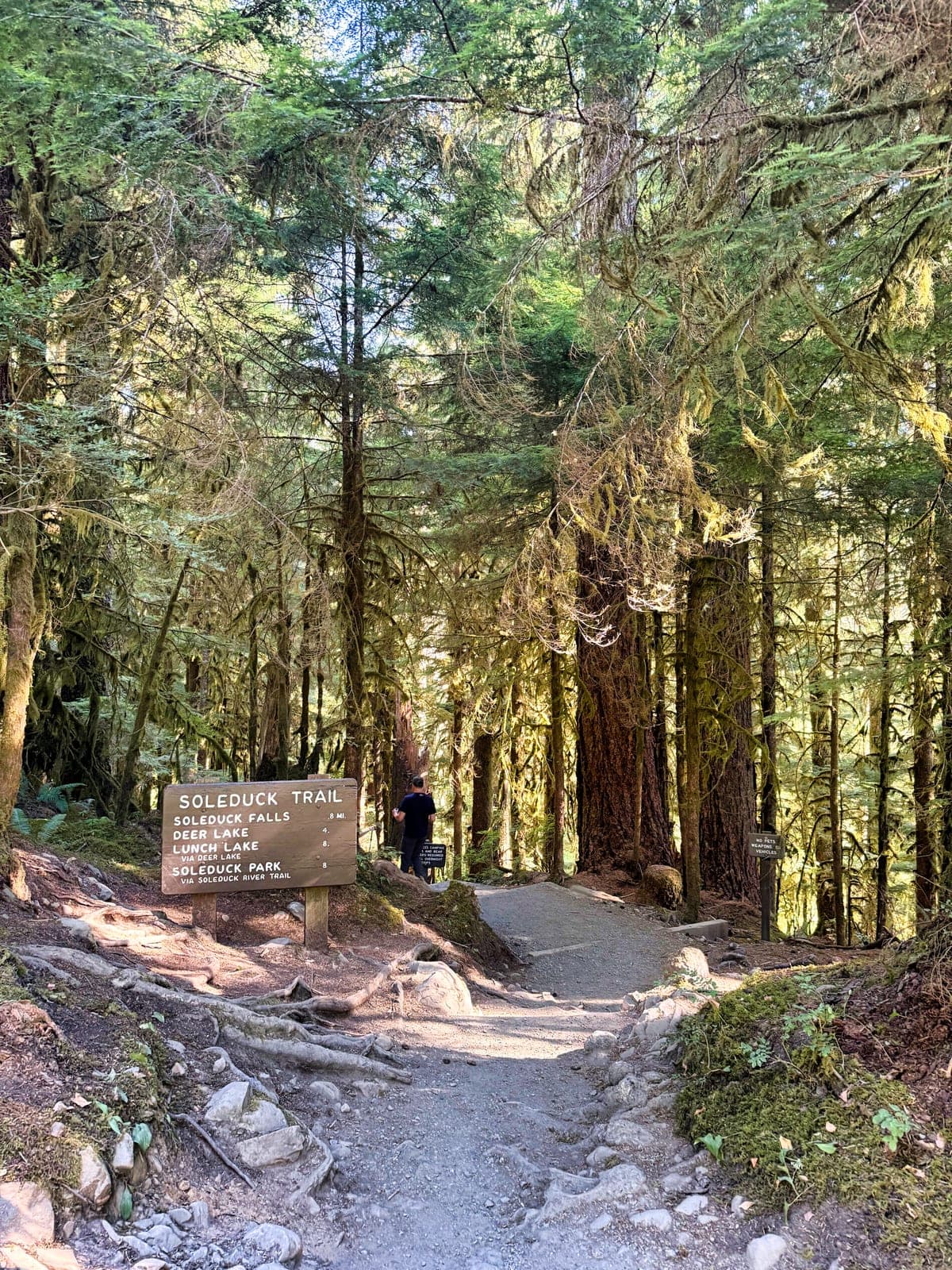 Olympic National Park
