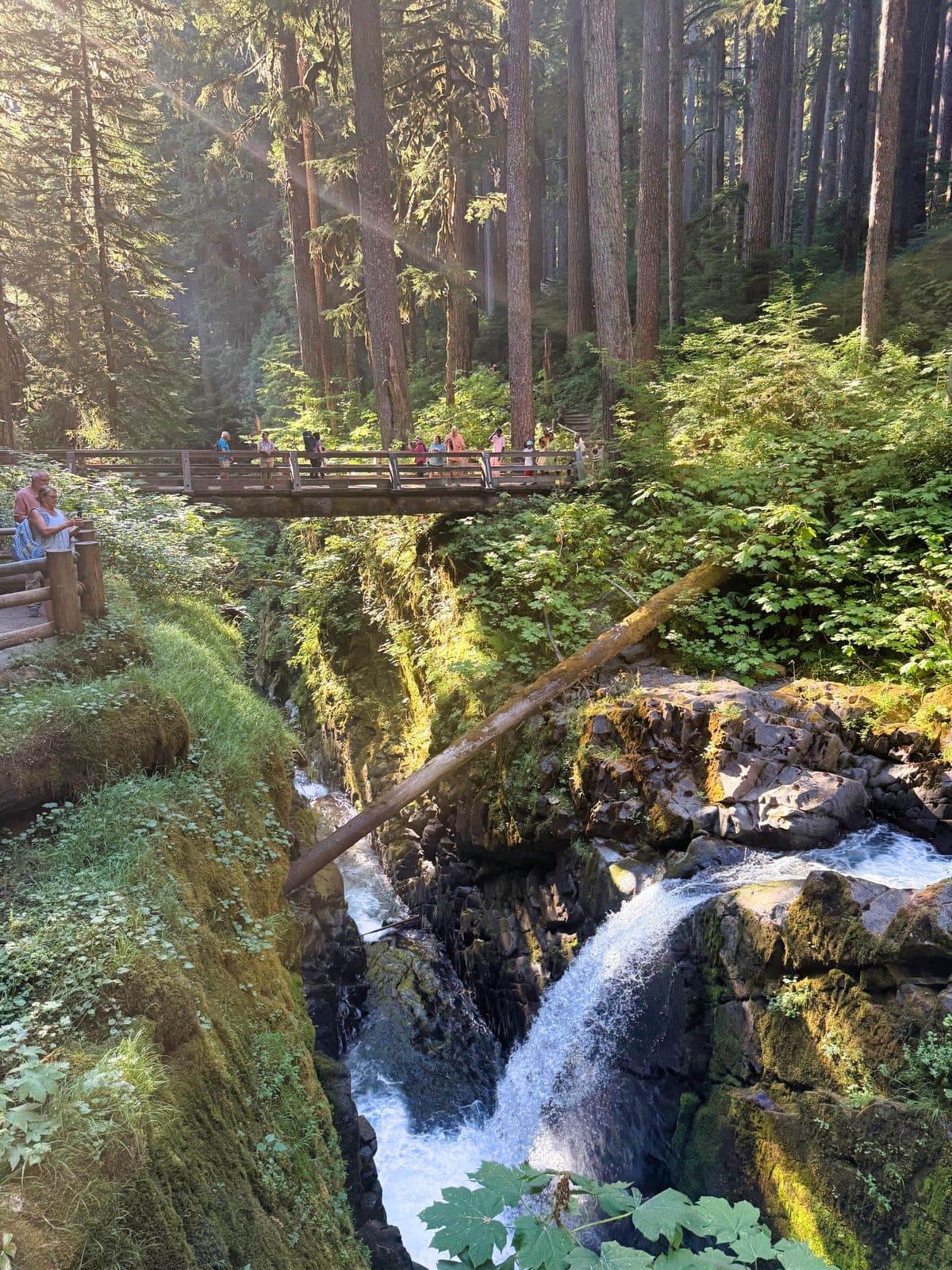 Olympic National Park