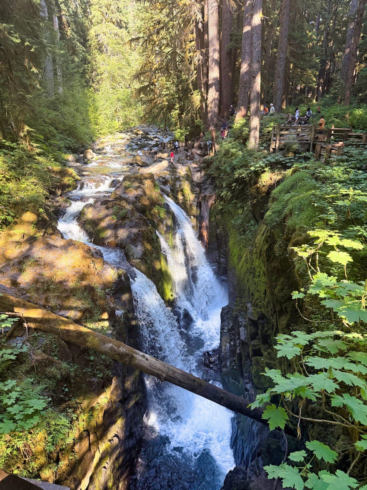 Olympic National Park
