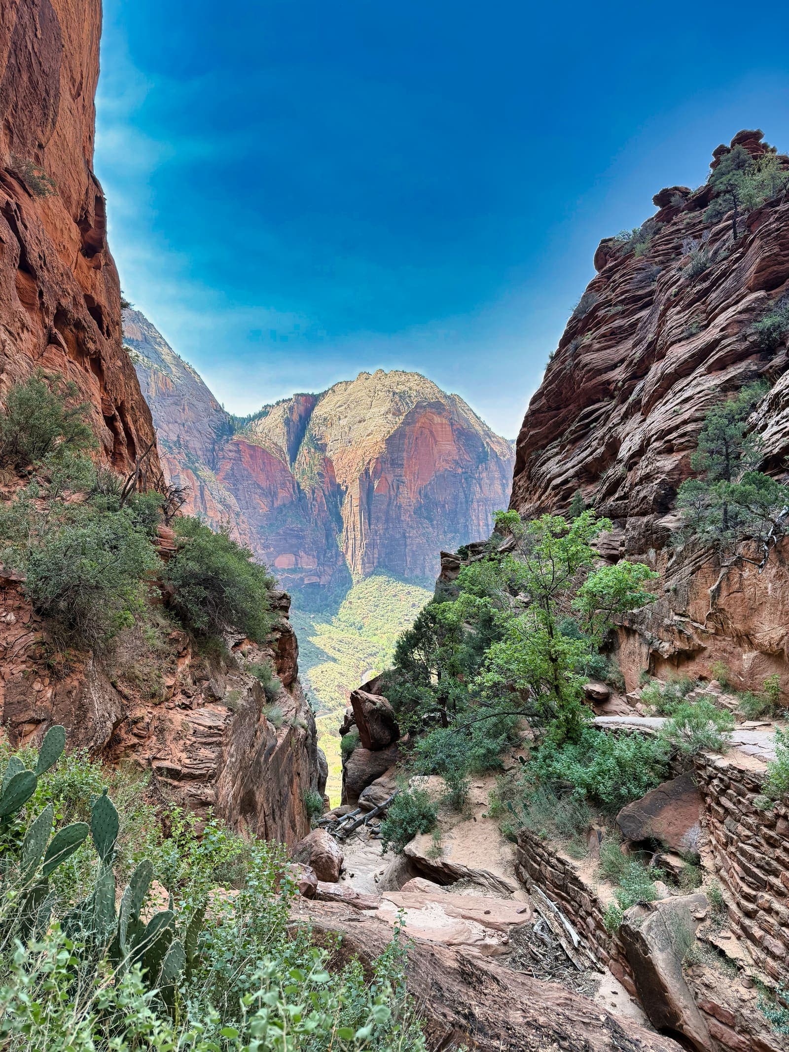 A narrow red rock canyon on the trail, opening to a sunlit peak