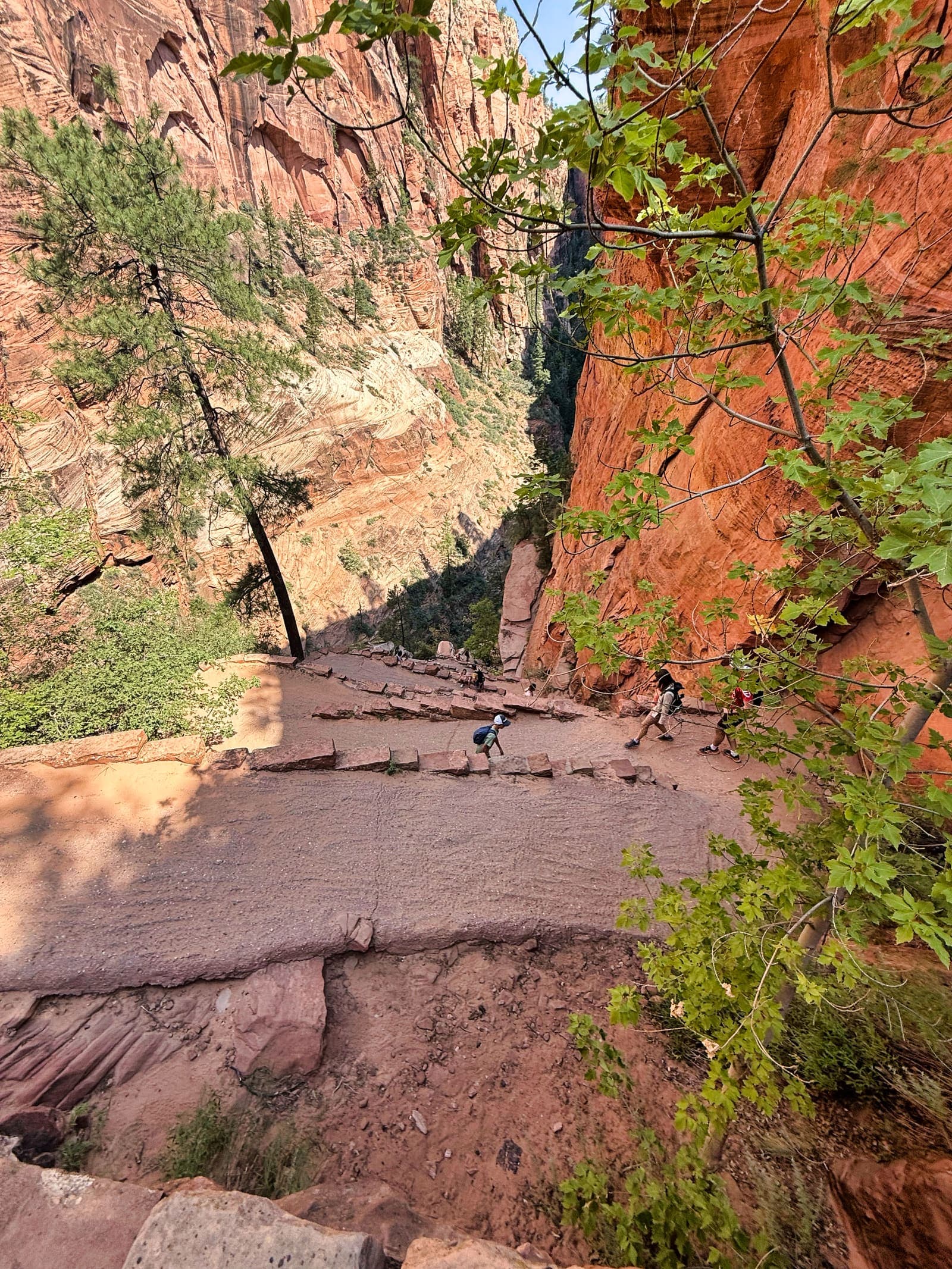 Walter's Wiggles, the stone switchbacks, seen from above between tall canyon walls