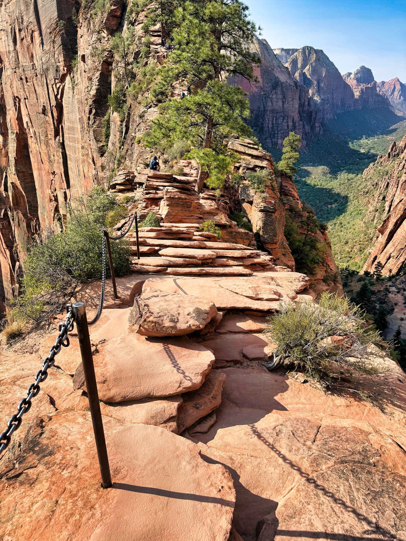 A chain strung on iron posts along the sandstone trail, high above the canyon
