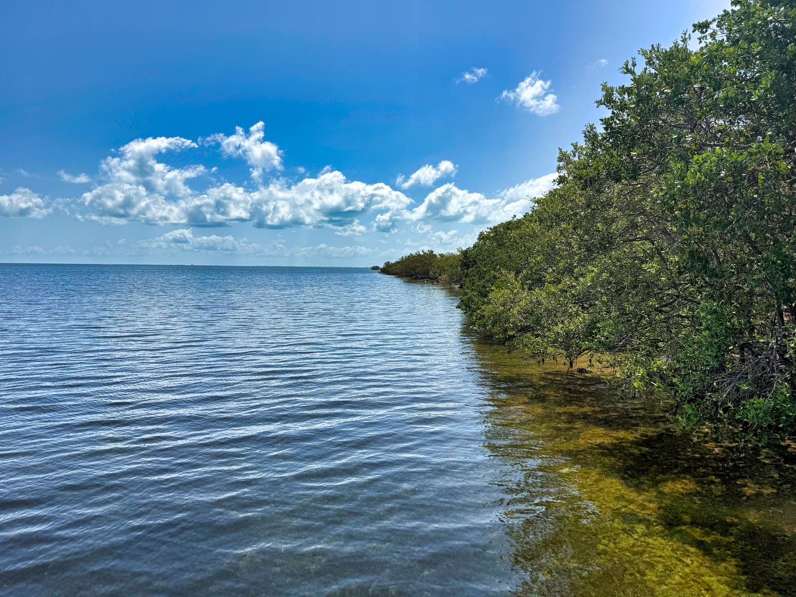 Biscayne underwater