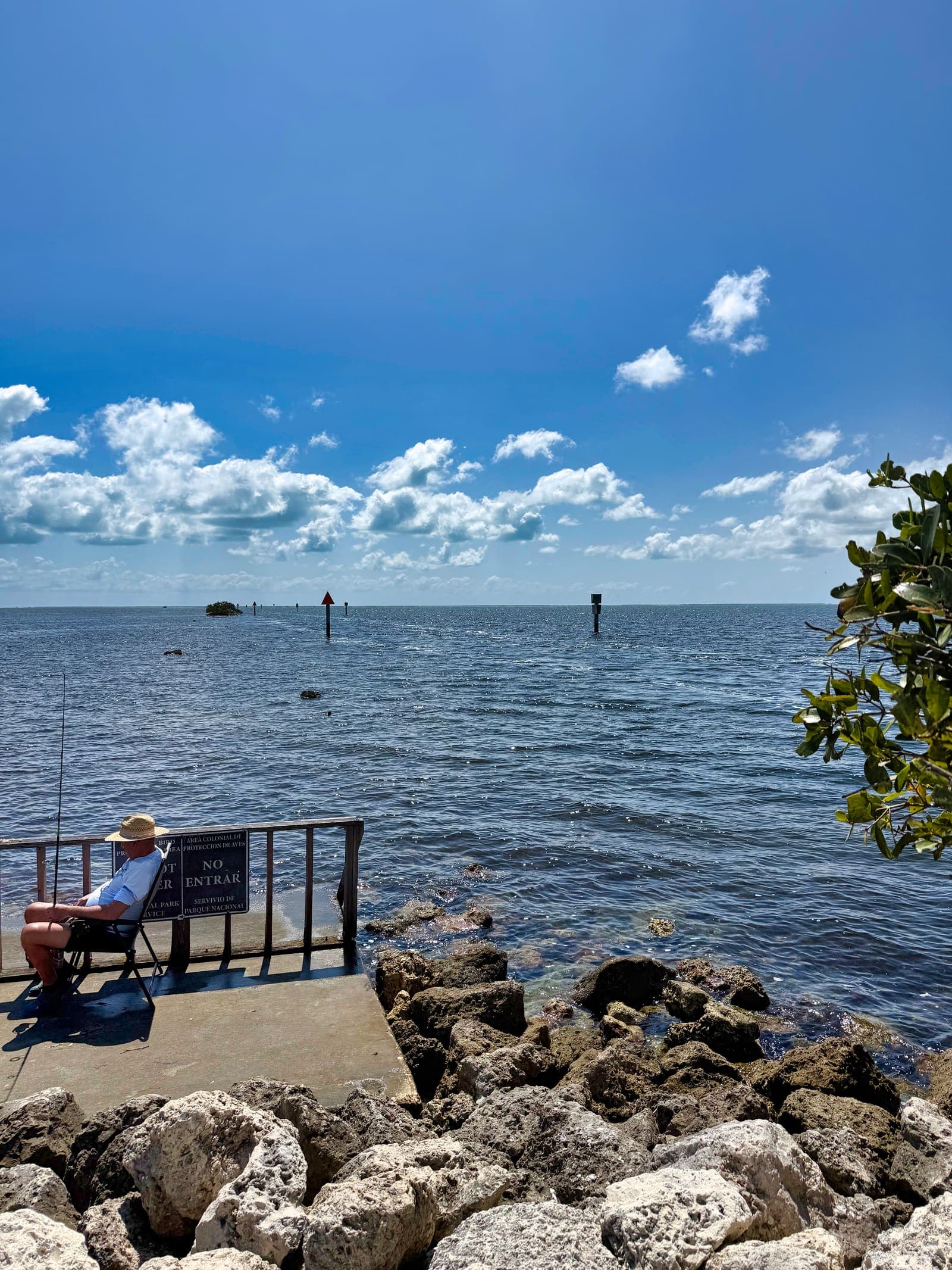 Biscayne reef life