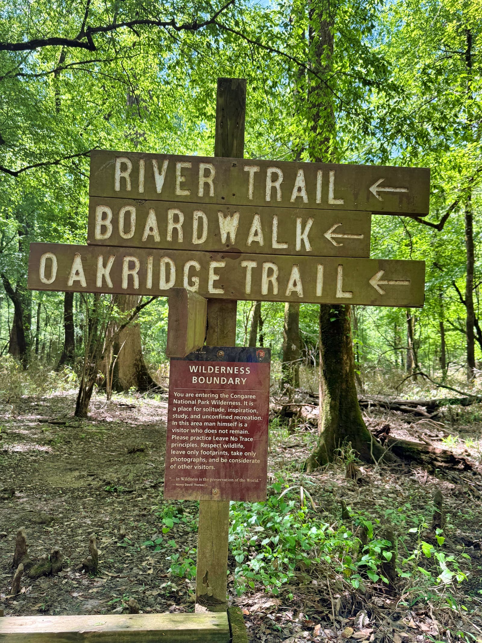 Congaree boardwalk